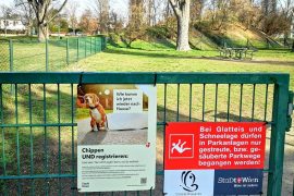 Wien Hund chippen registrieren